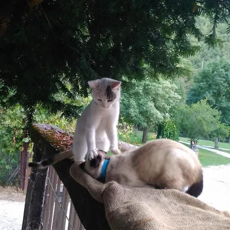 Valle Do Seo Casa rural