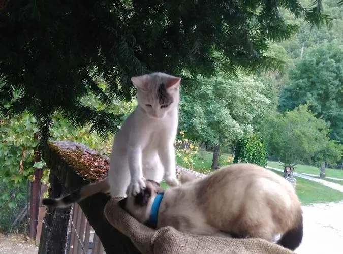 Valle Do Seo Séjour à la campagne
